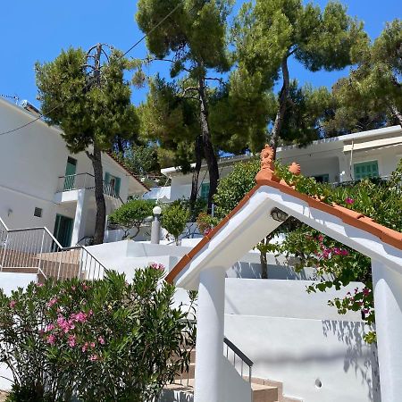 Studios Argyris Poros Town Bagian luar foto